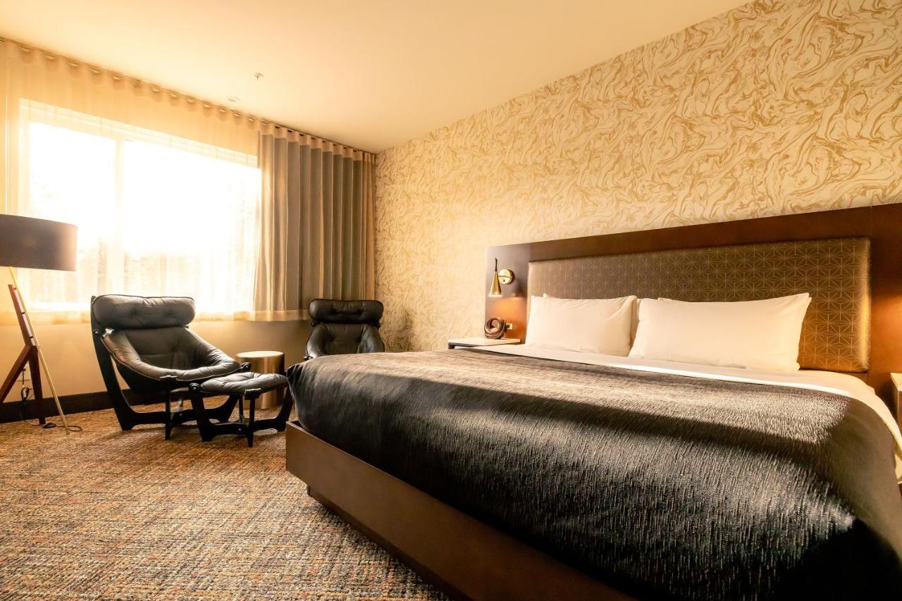 Zed King Bed